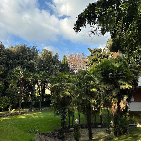 Central Palm Studio With Free Parking Meran Zewnętrze zdjęcie