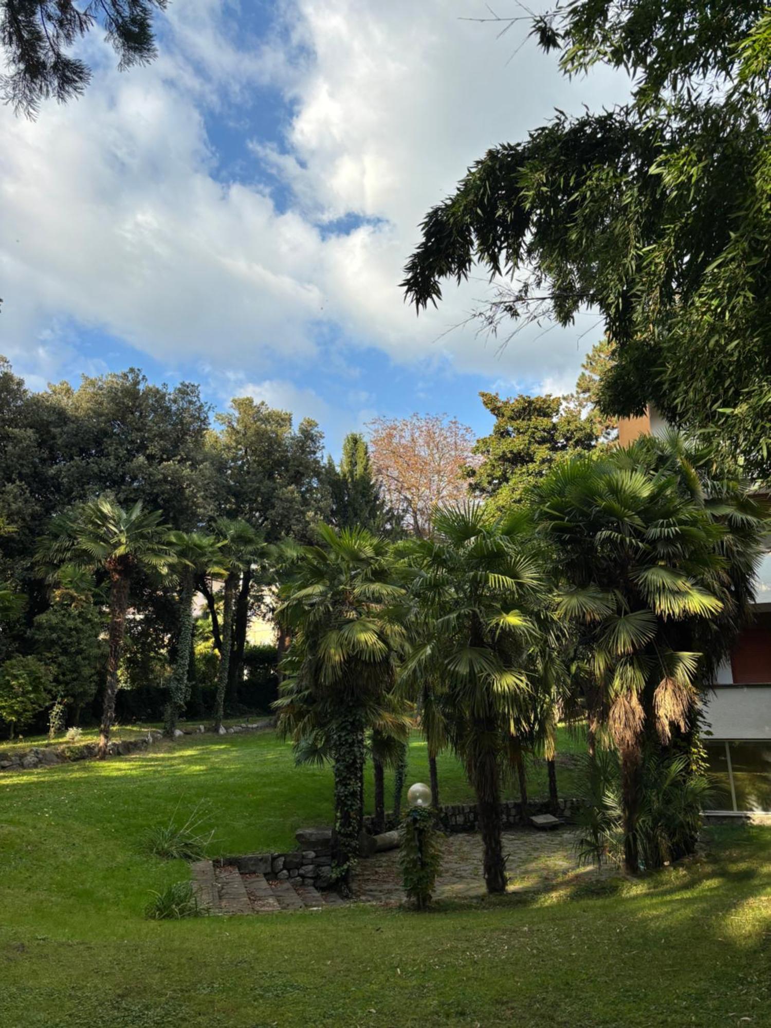 Central Palm Studio With Free Parking Meran Zewnętrze zdjęcie