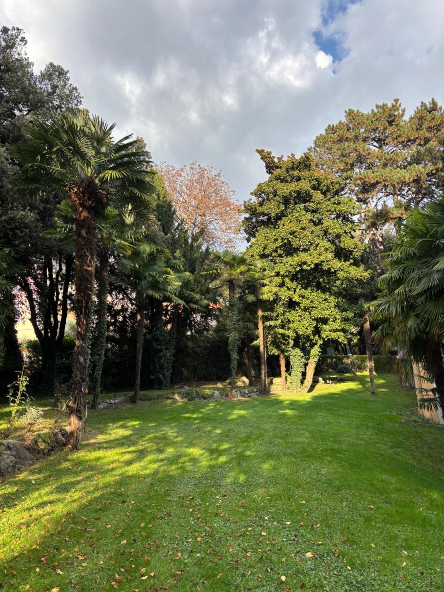 Central Palm Studio With Free Parking Meran Zewnętrze zdjęcie